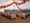 sailcloth party tent