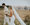 sailcloth wedding