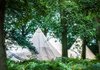 Tipi in the forest